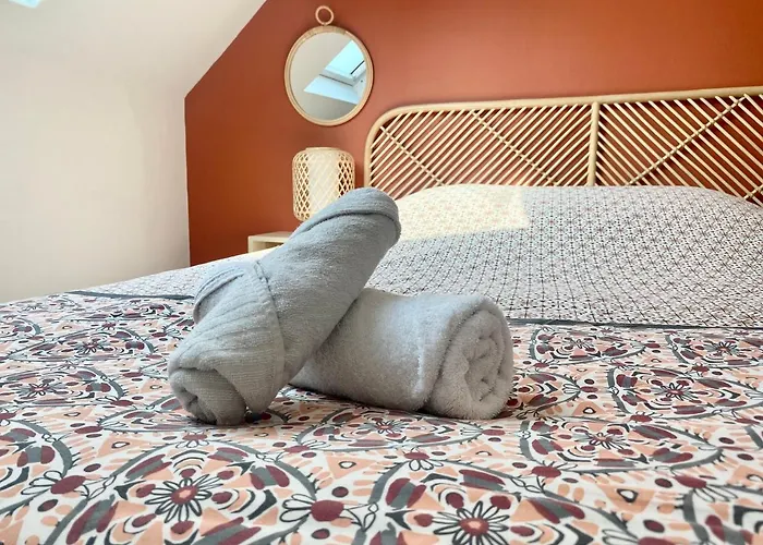 Magnifique Duplex Pour Huit Personnes -070 Rouen